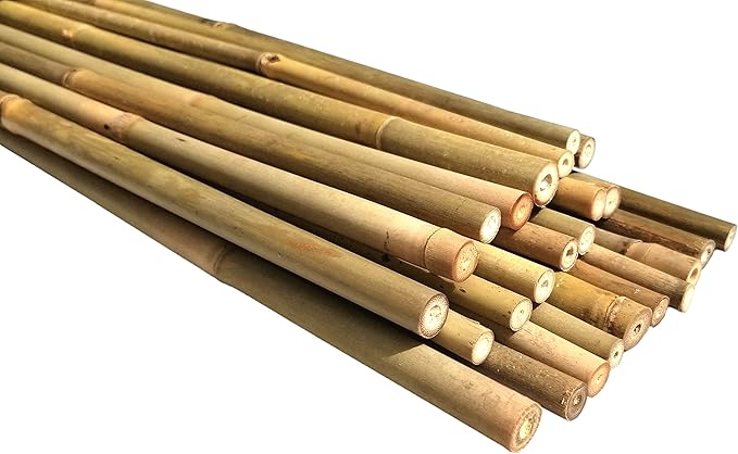 730 HOUSE - Natural Bamboo Pole Set | Premium Bamboo Sticks for Gardening, Decoration, and DIY Projects